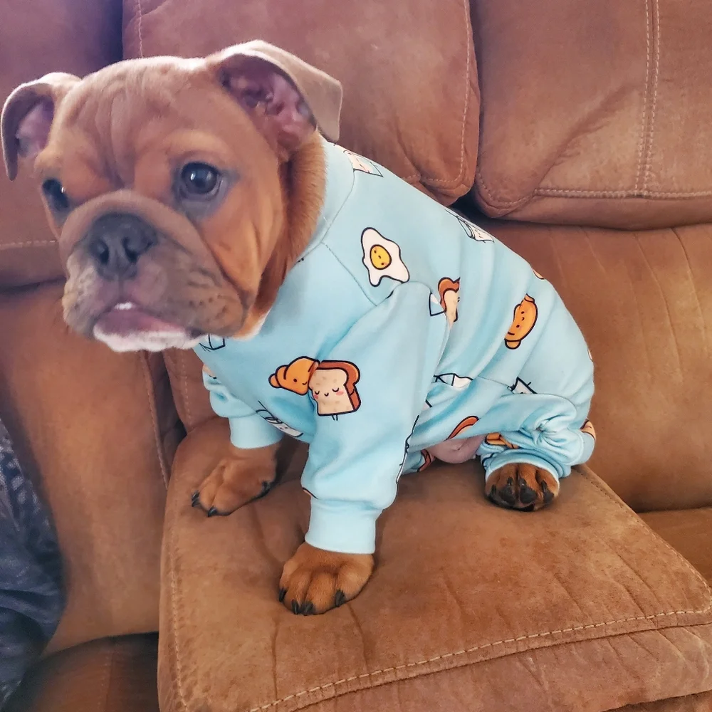 Spark Paws Dog‎ Lot